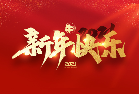 麗水市威儀自動(dòng)化技術(shù)有限公司祝全國(guó)人民2021年新年快樂！
